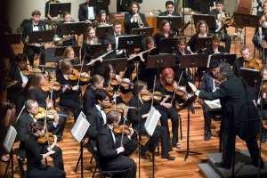 Orchestra